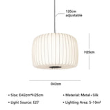 Modern Japanese Wabi Sabi Zijdehanglamp