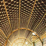 LumiGrid Net LED String Lights
